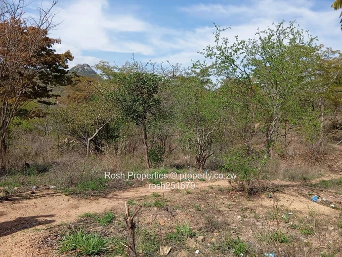 Dora-Virgin Land 5,000 sqm Plot