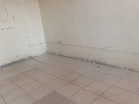 Shop & Retail Property