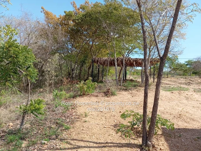 Dora-Virgin Land 5,000 sqm Plot