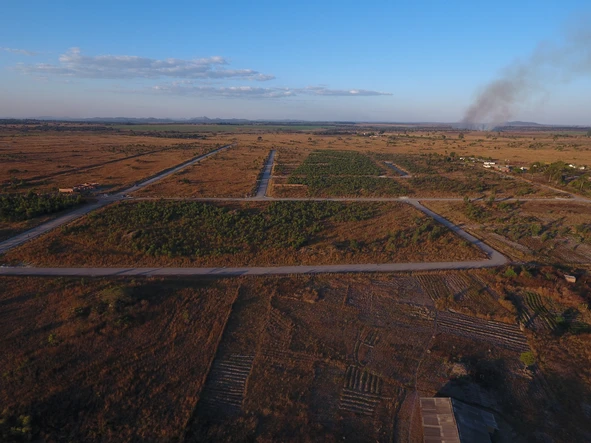 Stands & Residential Land