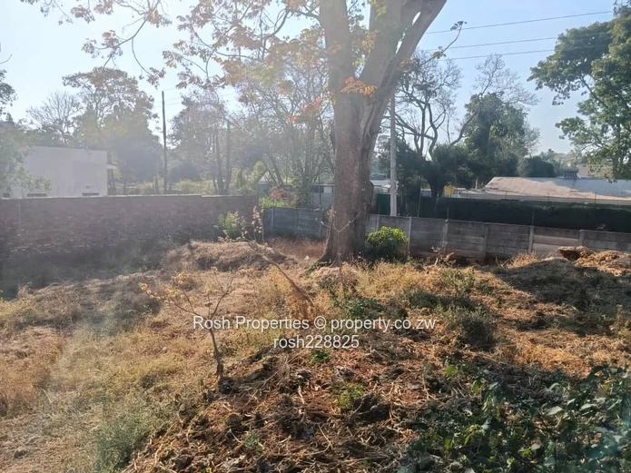 Prime Commercial Land Plot in Borrowdale, 8100 m² Awaits You!