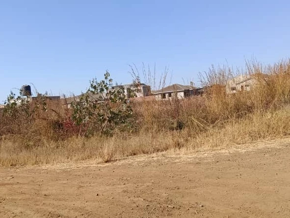 Stands & Residential Land